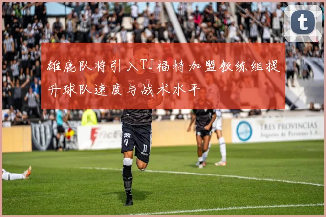 雄鹿队将引入TJ福特加盟教练组提升球队速度与战术水平