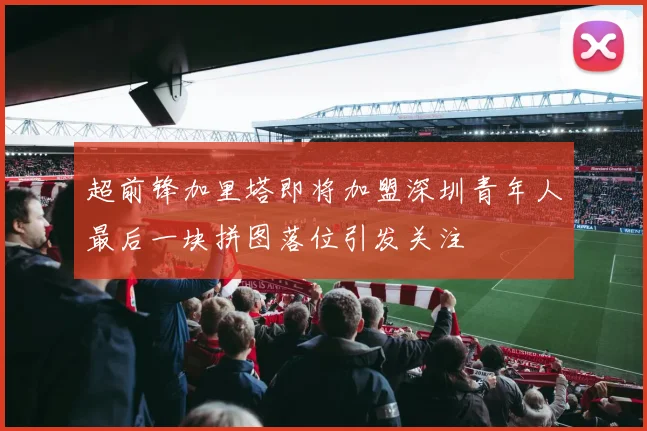 超前锋加里塔即将加盟深圳青年人最后一块拼图落位引发关注